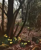 Wild Daffodils - Far Arnside Woods by Meg Lee, 1979, gouache, offered Aug 2024
