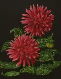 Dahlia Flowers by William F. Goulding, oil, offered Jul 2024