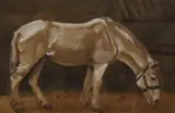 Workpony by Nancy Brackett, watercolour, offered Jun 2024