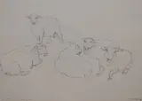 Tups Resting, Pett, East Sussex by Dido Crosby, pencil on paper, offered Jun 2024