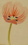 Pink Flower by Mary Fedden, 1990, watercolour on paper, offered Jun 2024