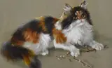 A calico cat portrait, framed and under glass, measuring 45cm x 60cm, & 60cm x 75cm overall by Edith A. Penn, watercolour and gouache, offered Apr 2024