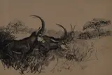 Sable Antelopes by Roy Woodhouse, etching, offered Apr 2024