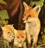 A fox and her cubs by Peter Tyrie, oil on board, sold Feb 2024