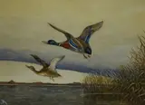 Peewits by Frances Archer, watercolour, sold Feb 2024