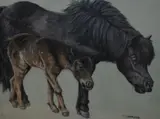 Fell pony and foal by Dave Toyne, 2001, pastel, offered Feb 2024