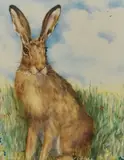 Brown Hare by Margaret Beattie, oil, sold Jan 2024
