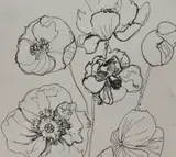 Poppies by Michael Jefferson-Brown, ink, offered Jan 2024