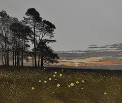 Celtic Poppies by Phil Greenwood, etching, sold Jan 2024
