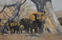 Baobab by Anthony Gibbs, acrylic on canvas, sold Dec 2023
