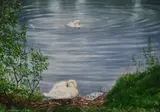 Waterhead by Aileen Airey, acrylic, offered Dec 2023