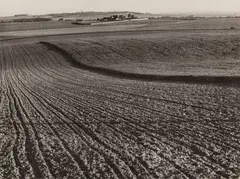 Furrows by André Kertész, print, offered Nov 2025
