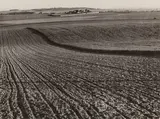 Furrows by André Kertész, print, offered Nov 2025