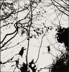 Marie-Anne et Vincent by Willy Ronis, Silver gelatin print, printed, offered Nov 2025