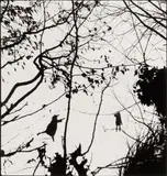 Marie-Anne et Vincent by Willy Ronis, Silver gelatin print, printed, offered Nov 2025