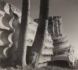 Olympieion by Herbert List, print, sold Nov 2025