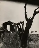 The Grappler by Clarence John Laughlin, print, sold Nov 2025