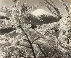 Twelve Views of Mt Fuji by Kōyō Okada, print, sold Nov 2025