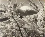 Twelve Views of Mt Fuji by Kōyō Okada, print, sold Nov 2025
