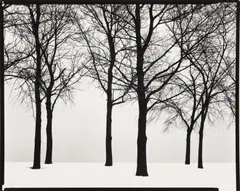 Chicago by Harry Callahan, Silver gelatin contact print, printed, sold Nov 2025