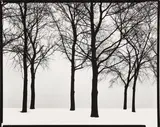 Chicago, c.1950 Silver gelatin contact print, printed 1970s, image/sheet size 20.2 x 25.2cm by Harry Callahan, Silver gelatin contact print, printed, sold Nov 2025