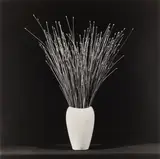 Flower by Robert Mapplethorpe, Silver gelatin print, mounted, image size, offered Nov 2025