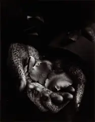 Flower Seller, Maroc, 1989 Silver gelatin print, printed later, image size 35 x 27.7cm, sheet size 60.2 x 50.5cm by Albert Watson, Silver gelatin print, printed later, image size, offered Nov 2025
