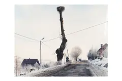 Krzyzowka by Mark Power, Chromogenic print, printed, offered Nov 2025