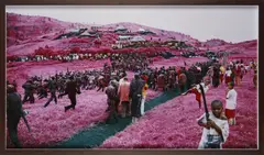 Better The Devil You Know by Richard Mosse, 2012, Chromogenic print, image size, sold Nov 2025