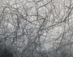 Number 5384 from I-phone studies by Richard Misrach, print, sold Nov 2025