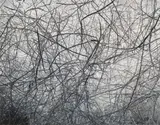Number 5384 from I-phone studies by Richard Misrach, print, sold Nov 2025