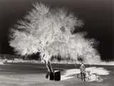 Negative Book #05 by Aneta Grzeszykowska, Pigment print on cotton paper, image/sheet size, sold Nov 2025