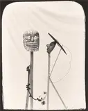 The Arrival of Eve by Joel-Peter Witkin, Silver gelatin print, image size, offered Nov 2025