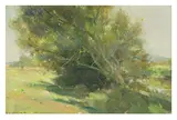 Old Willow by the Idle by David Jan Curtis, oil on board, sold Nov 2025