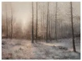 Winter - Peans Wood by Michael Tain, Wood, Ashburnham, Sussex signed 'Michael Tain', sold Nov 2025