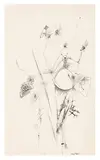 Ohne Titel by Rudolf Bauer, ink, sold Nov 2025