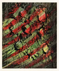 Print 2 by Sidney Nolan, Print, sold Oct 2025