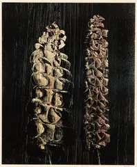 Print 15 by Sidney Nolan, Print, sold Oct 2025
