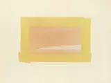 Indian View H by Howard Hodgkin C.H., pencil, offered Oct 2025