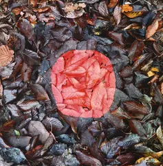 Cherry leaves, swindale beck wood, cumbria by Andy Goldsworthy, Chromogenic print, sold Mar 2025