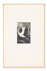 Passage d’une âme (passage of a soul) (mellerio 21; werner 194) by Odilon Redon, Etching with drypoint, offered Mar 2025