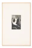 Passage d’une âme (passage of a soul) (mellerio 21; werner 194) by Odilon Redon, Etching with drypoint, offered Mar 2025