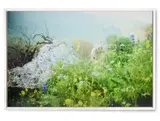 Nocte decus by Rafael Y. Herman, 2016, Chromogenic print, offered Mar 2025