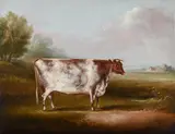 Louisa at two years old gained the first prize at the Northumberland, Cleveland, and Barnard Castle Agricultural Societies' Shows in the year 1857 by Henry William Banks Davis, Oil on canvas, sold Feb 2025