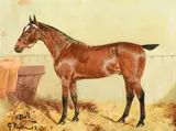 'bill' by George Paice, Oil on canvas, sold Feb 2025