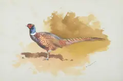 Pheasant by Archibald Thorburn, Watercolour, sold Feb 2025