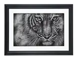 Tiger by Colin Banks, Mixed media on aluminium, sold Feb 2025