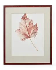 Acer rubum by Rory McEwen, Offset lithograph printed in colours, sold Jan 2025