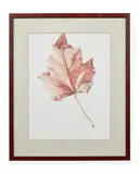 Acer rubum by Rory McEwen, Offset lithograph printed in colours, sold Jan 2025