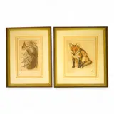 Studies of a fox and squirrel by Timothy J. Greenwood, pencil, offered Aug 2025